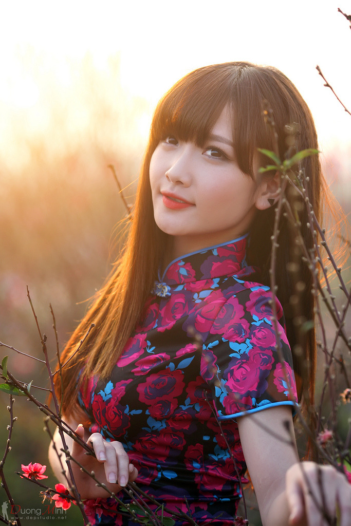 栖花绯汐世免费观看